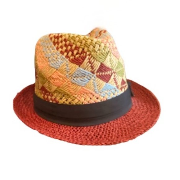 Accessories - NWOT Unisex Multi-colored Woven Fedora Hat